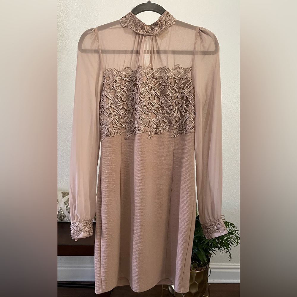 Nude sheer mid length dress.